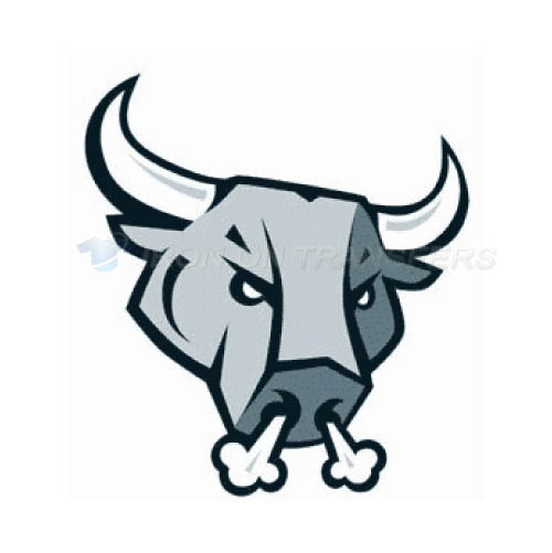 San Antonio Rampage Iron-on Stickers (Heat Transfers)NO.9131